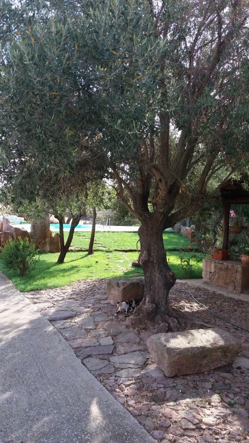 Agriturismo Sa E Padedda Mores Exterior photo